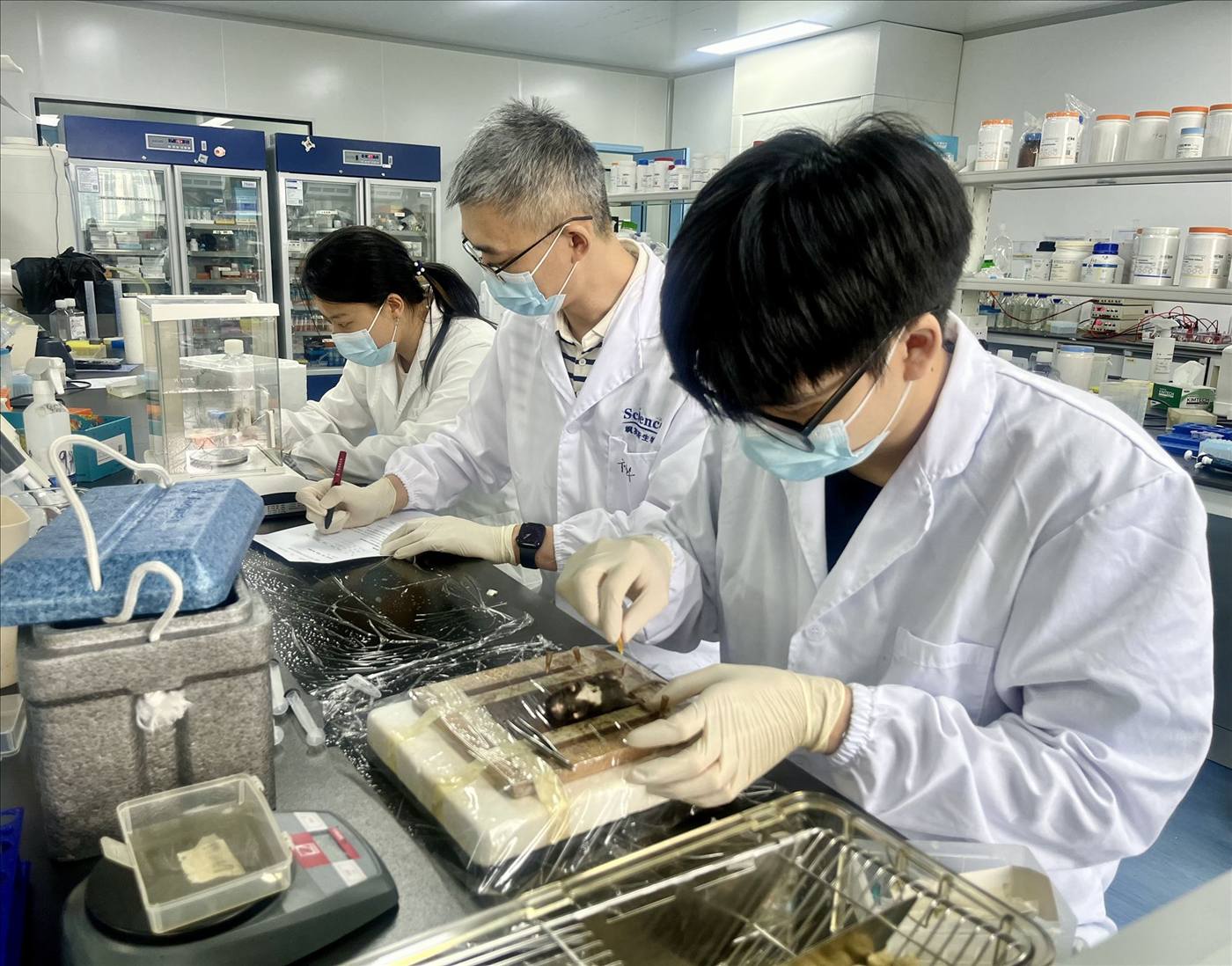 工作瞬间 · 实验室工作场景
